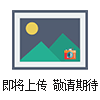 QD-60S上海八宝茶包装机